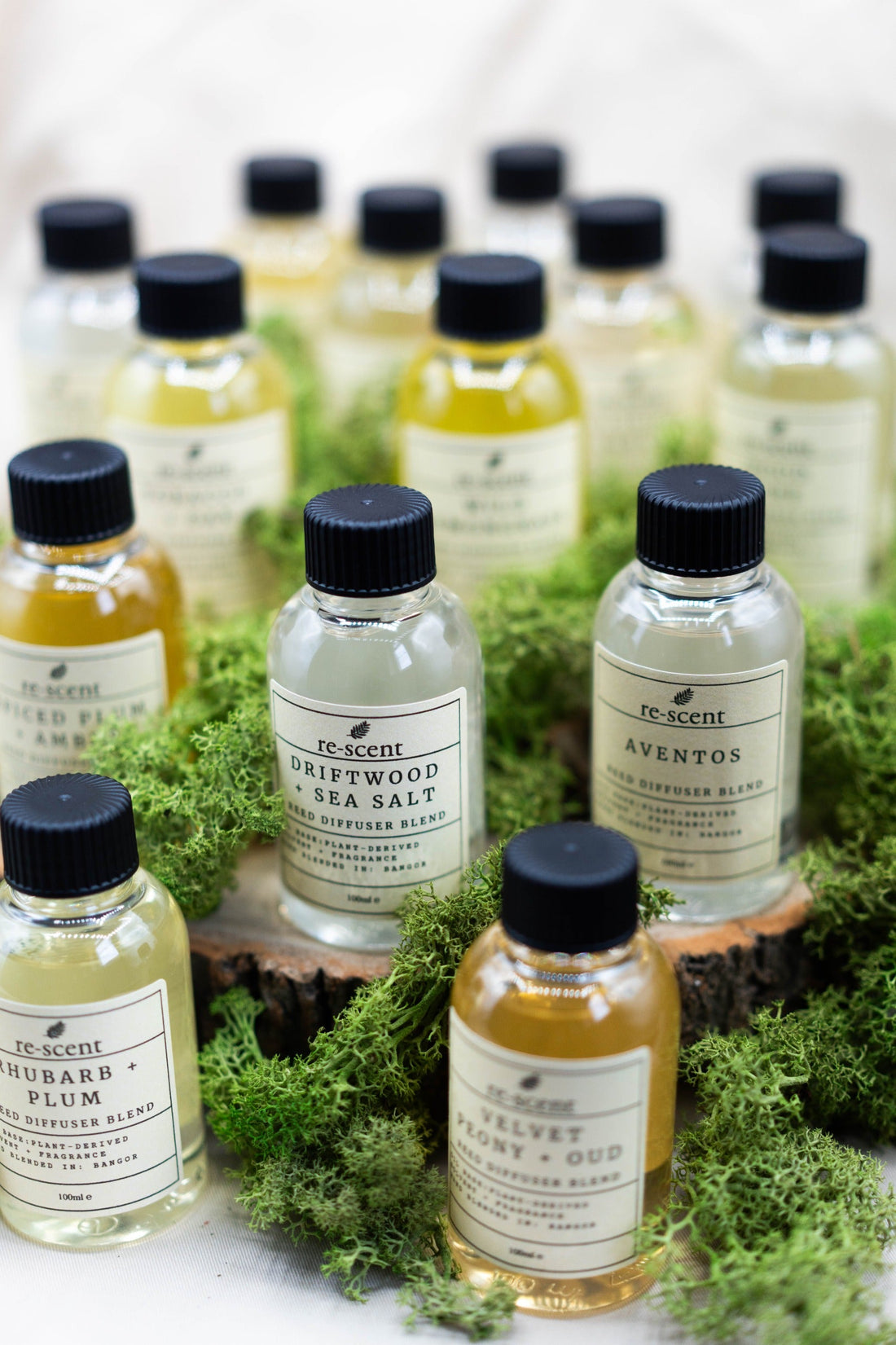 Why We Started re-scent: A More Considered Way to Enjoy Fragrance