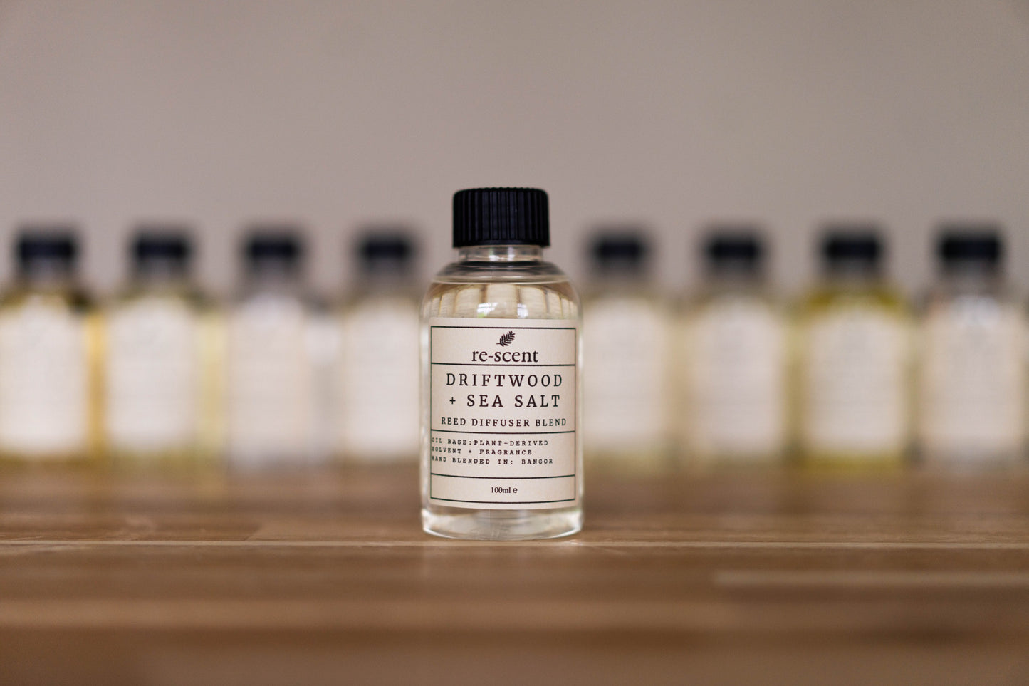 Driftwood + Sea Salt - 100ml Diffuser Refill